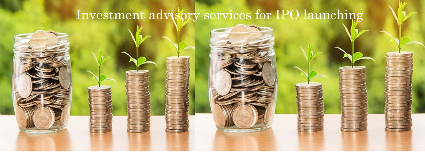 Investment advisory services for IPO launching
