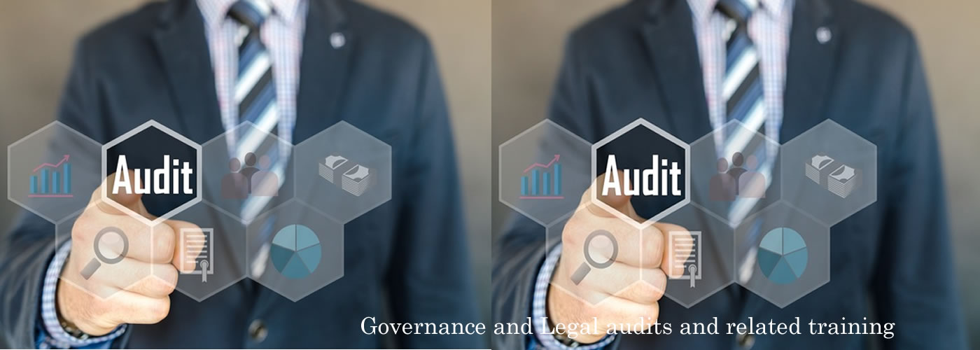 governanceaudit